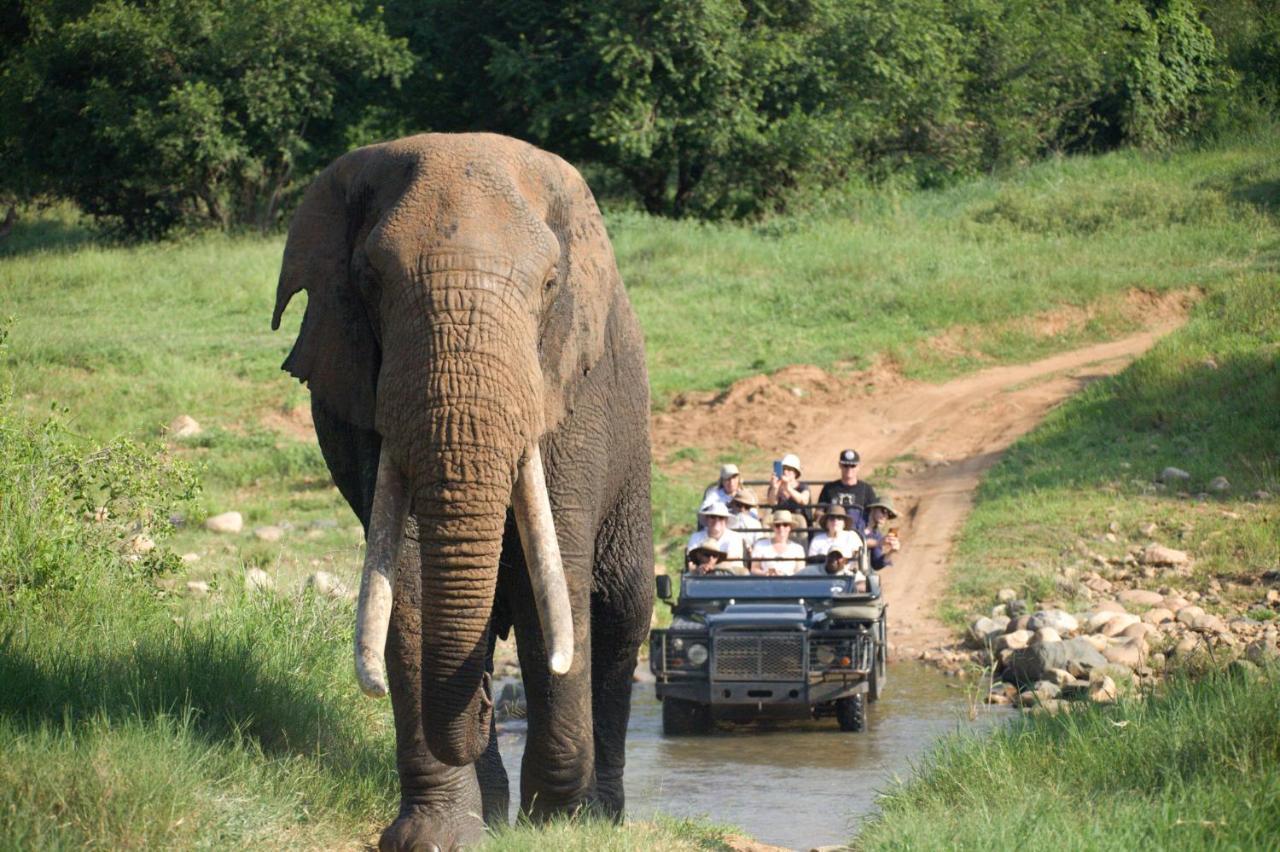 فيلا كونامي لودج Karongwe Game Reserve المظهر الخارجي الصورة