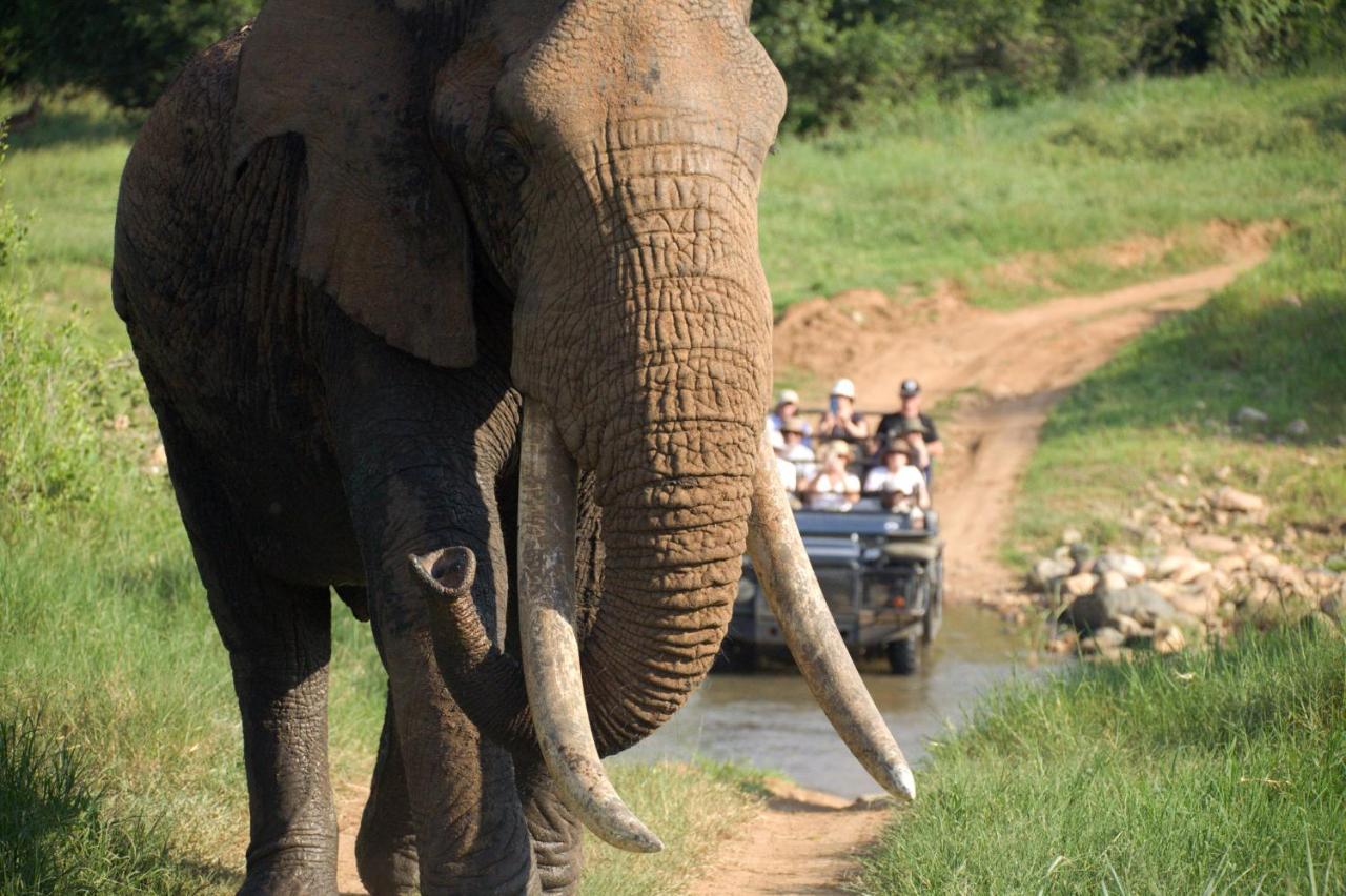 فيلا كونامي لودج Karongwe Game Reserve المظهر الخارجي الصورة