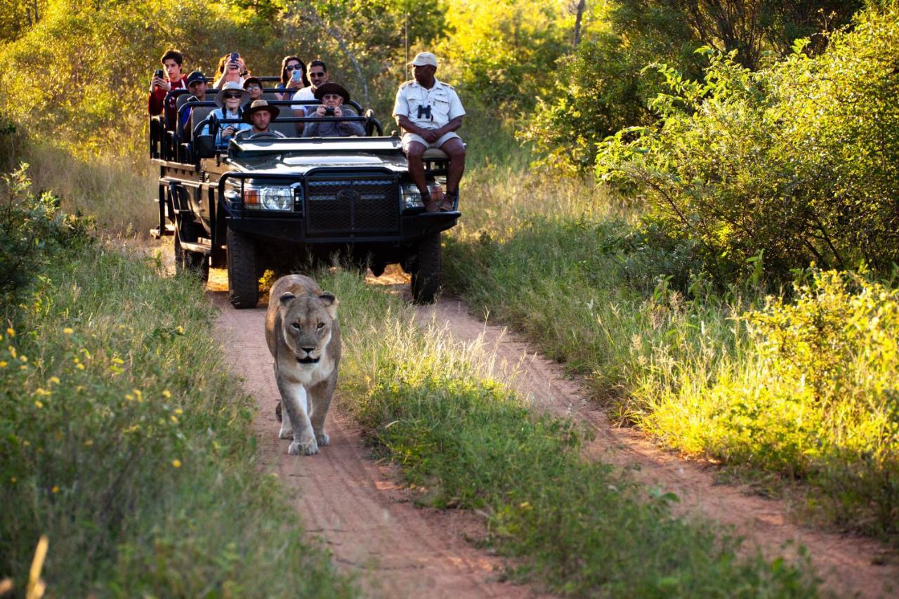 فيلا كونامي لودج Karongwe Game Reserve المظهر الخارجي الصورة