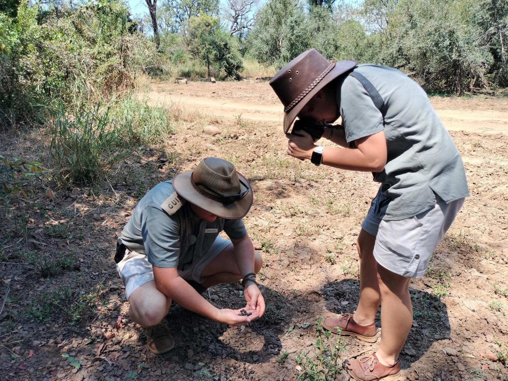 فيلا كونامي لودج Karongwe Game Reserve المظهر الخارجي الصورة