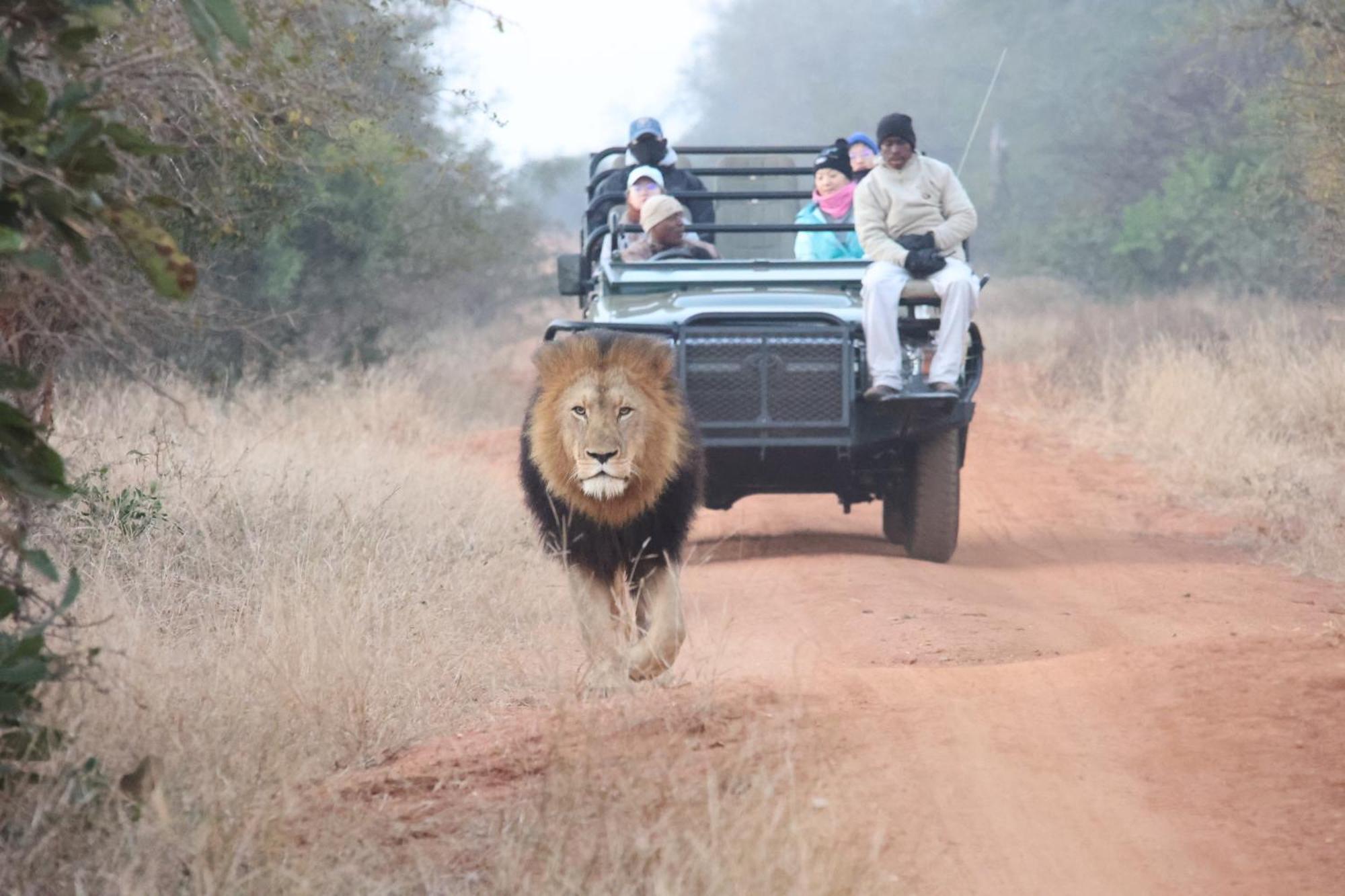 فيلا كونامي لودج Karongwe Game Reserve المظهر الخارجي الصورة